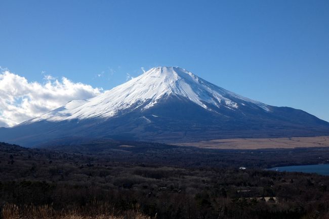 御殿場プレミアムアウトレットで今年最後のショッピングを楽しみ、名鉄菜館の昼食の後は、3連泊するエクシブ山中湖に向かいます。<br /><br />この日は雲一つなく晴れて富士山が綺麗に見えたので、ホテルの前を通り越し、山中湖パノラマ台を訪ねます。<br />