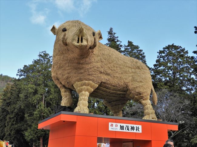 姫路市安富町安志の加茂神社に初詣でに行って来ました。<br />加茂神社の参道には、本物そっくりの高さ5メートル、重さ2.5トンの巨大な「イノシシ」が鎮座していた。<br />1977年以来同神社では毎年巨大な干支の置物が名物になっているので有名。今年のイノシシはたつの市の建設会社社長が家族ぐるみで約1ヵ月かけて仕上げたそうで、骨組みにヒノキ、表面には酒米「兵庫夢錦」の稲穂で覆われている。<br />また本殿前にも高さ約4メートル、重さ1.5トンの「うり坊」がいて、体の縞模様が表現されていた。