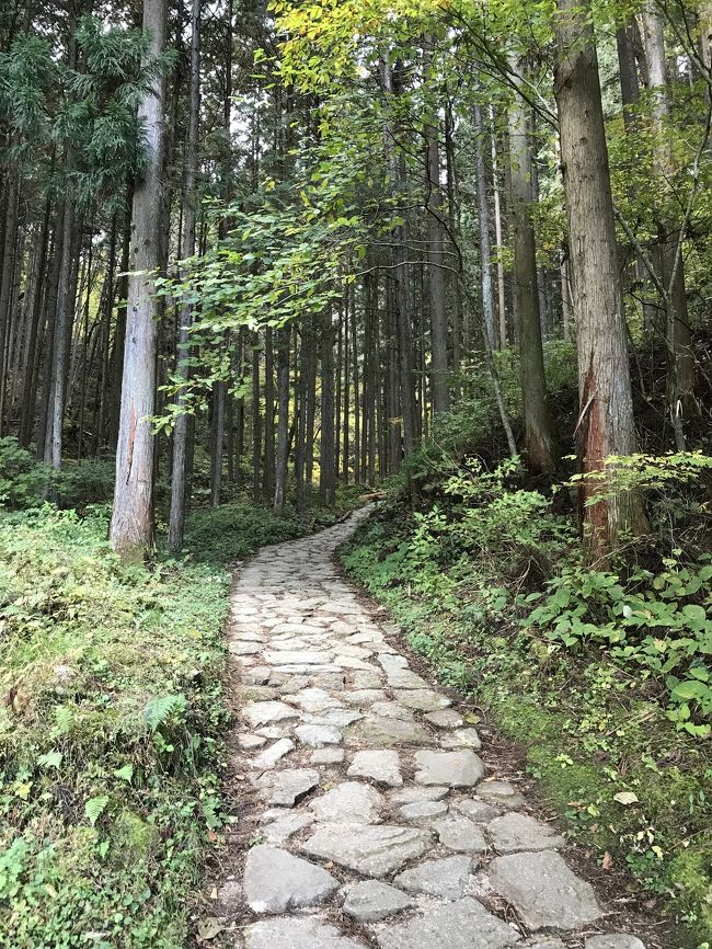往路、名古屋6:12-7:35中津川7:40-8:09南木曽<br /><br />JR南木曽駅を8:20頃出発。<br />妻籠宿~大妻籠~馬籠峠~馬籠宿~十曲峠~落合宿~中津川宿。<br />JR中津川駅には14:00頃到着。<br /><br />復路、中津川14:20-15:35名古屋<br /><br /><br />JR南木曽駅から馬籠峠間は、緩やかな登り道。<br />馬籠峠から馬籠峠間は、急な下り道。<br /><br />妻籠宿を過ぎると馬籠宿までは、熊出没注意箇所。<br />いつ熊と遭遇するかわからないような木々が覆い茂った薄暗い侘しい中山道。道なりには10箇所前後の熊除け鈴が設置され、また熊出没注意の看板が立て掛けられている。<br />熊除け鈴を各自身に付けて歩く必要性がある。<br /><br />この間は、土曜日で天候が良かった為か、同じウォーカーとの出会いは多かった(海外の人も多い)。<br /><br />馬籠宿から落合宿間は、緩やかな下り道が続くが、途中十曲峠だけは登り下りがある。<br />落合宿から中津川宿間は、高低差が少ないアップタウンの道が多く、歩き疲れた状況だったのでかなりキツかった。<br /><br />馬籠宿を過ぎるとウォーカーとの出会いは3~4組程度とほとんどなかった。<br />落合宿を過ぎると中津川市街地となり枝分かれする道が多くなるが、中山道の道筋は舗装路が工夫されており迷うことはない。<br /><br />*自称健脚。