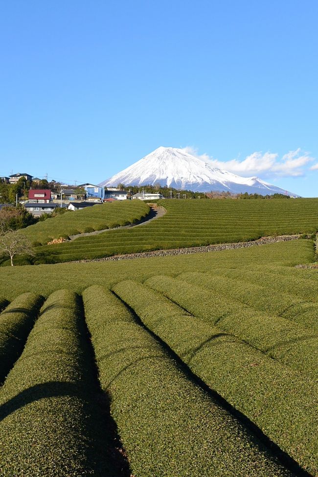 冬のサラエボは大気汚染のスモッグで空気が悪く外出しにくいので、今年の年末はちょっと用事もあるので日本に避難することにしました。