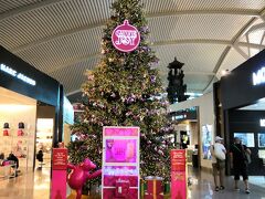 2018 年末 SQでバリ島11日間（帰路）