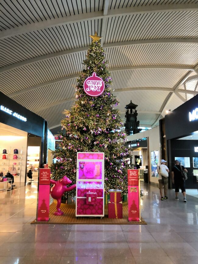 2018 年末 シンガポール航空でバリ島11日間（帰路）