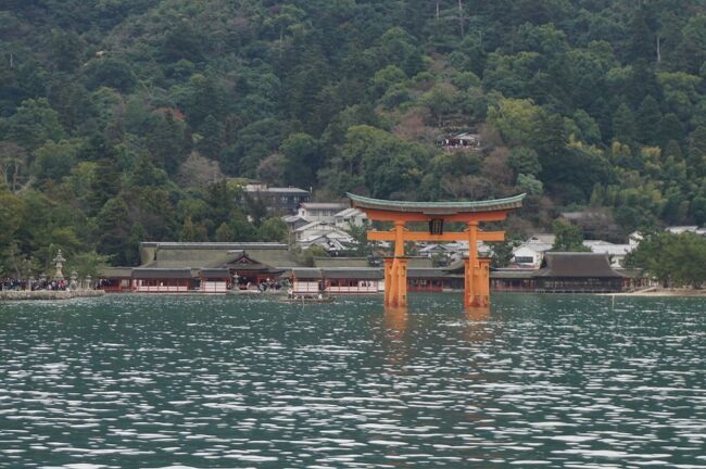 今年の年末は11月に出産した広島の長女の処へ初孫の顔を見に行きがてら宮島にも足を延ばしましたが、初曾孫の顔を見せる為に金沢の母をピックアップしてからの広島行きで、随分と長い移動時間となりました。<br />長女のマンションに近い広島駅近のホテルに宿泊し先行していた家内や次女と合流してから、折角なので宮島は日帰りとせず江戸時代から続く老舗として有名な宮島の温泉旅館「岩惣」に宿泊する為に随分前から予約を入れました。<br />先ずは宮島へ近づくフェリーからの大鳥居を見た後、岩惣に荷物を置いて島内の大聖院とロープウェイで弥山の獅子岩展望台まで登った島内観光！<br />昼食に名物のアナゴ飯は食べましたが、名物に旨い物無し！岩惣で出たアナゴ料理とは比較にならない程度だったので写真は掲載しません。<br />やはりアナゴは素材の脂の乗り具合と鮮度、そして焼き具合をかなり加減しないと美味しくならないのだと痛感しました。<br />表紙写真はほぼ満潮時間の大鳥居を外海から見た景色。