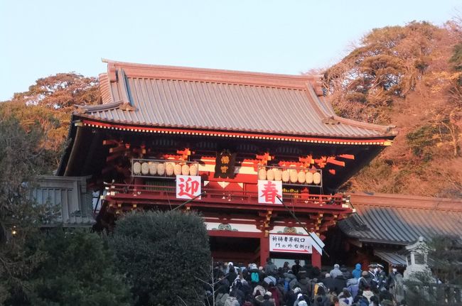 横浜の実家（横浜市栄区）から歩いて鎌倉の鶴岡八幡宮まで初詣。去年は永平寺、一昨年は喪中のため、毎年恒例の鎌倉への初詣といえども、実質三年ぶり。調べてみたら元日以外の初詣も11年ぶりでした。大体紅白終わった後に行っているので。。。<br /><br />旅行記と言える内容でもないですが、かかった経費がお賽銭とおみくじ代だけという、私のこれまでの旅行記の中でもナンバーワンのローコスト旅行記です。(笑)