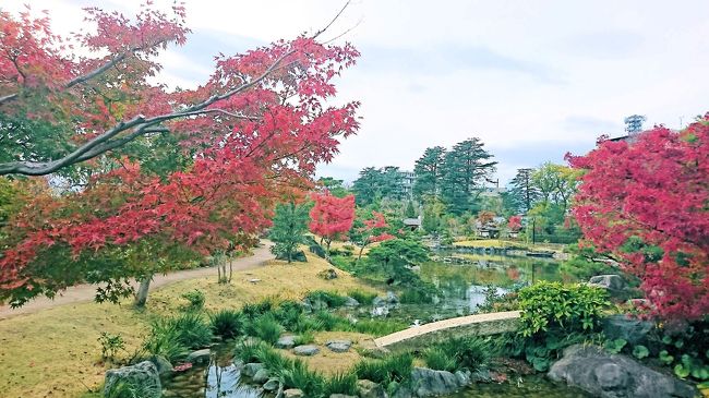 所用で富山に訪れたが、富山に訪れたのは家族で黒部に訪れ、宇奈月温泉に宿泊して以来、実に30年ぶりのことだ。<br />富山では北前船による貿易で発展を遂げ、北前船の廃止と共に町が廃れた岩瀬浜に立ち寄った。岩瀬浜は30年前位から再開発され、現在は観光地化され、再び脚光を浴びる町だ。岩瀬浜に訪れたのが夕方遅くになってしまい、残念ながらあまり楽しめることができなかったが、それでも江戸時代にタイムスリップしたような町並みをみると、往年の繁栄を感じることができた。<br /><br />そして何より衝撃だったのは富山ライトレール。かつて岩瀬浜にはJR西日本が富山港線を走らせていたが、JR屈指の赤字路線だった。しかし、富山市がその跡地にライトレール、いわゆるトラムを敷設し、多くの住民が利用し黒字で運営されている。つまりJRは値段の高さ、本数の少なさ、そして駅間隔が長いなど町のニーズに全くミスマッチした形で運営していたことになる。<br />これは他の地方路線にも当てはまることかも知れず、富山市の着眼点に驚かされるばかりだ。