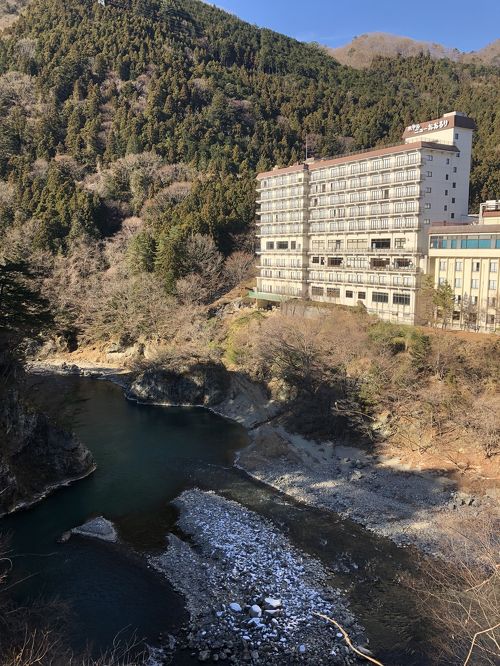 ホテル おおるり ３名が大晦日と元旦に２連泊 深夜何時も入る 温泉 初詣 東照宮 - その他