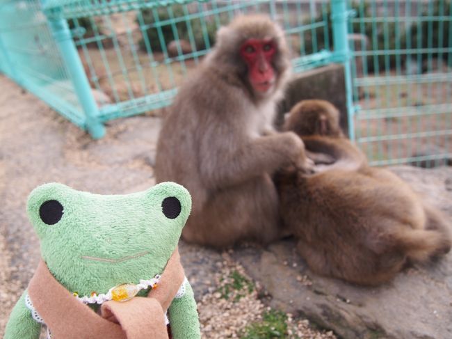 ２年振りの小豆島。<br />前に来たのも丁度クリスマスの同じ時期でした。<br />今回は相棒へのクリスマスプレゼントと言う事でサプライズの旅行です。<br />２２日の１０時頃、ポートライナー乗り場に１泊旅行の準備して集合とかえるツーリストより案内しました。<br />（かえるツーリストは、けろ子が運営する架空の旅行会社です）<br /><br />特にプランは立てていなかったのでホテルとレンタカーの予約だけ入れておきました。<br />ホテルは前回と同じベイリゾートホテル小豆島。<br />坂手港から１番近い大きなホテルです。<br />前回泊まって気に入ったので今回もこちらにしました。<br /><br />今年の旅は瀬戸内率が高い！！<br />瀬戸内海は穏やかでキラキラ輝いて本当に美しいです。<br /><br />●ベイリゾートホテル小豆島<br />１泊２食付<br />１日２組限定　マッサージチェア完備セミスイート無料アップグレードプラン<br />人気のオリーブバイキング<br />￥１５１２０×２人　￥３０２４０<br /><br />貸切露天風呂<br />￥３０００／４５分<br /><br />レンタカー（ホテルのレンタカー利用）<br />￥５６００／軽自動車４時間ガソリン代込<br /><br />●フェリー代<br />１人往復￥４０９０