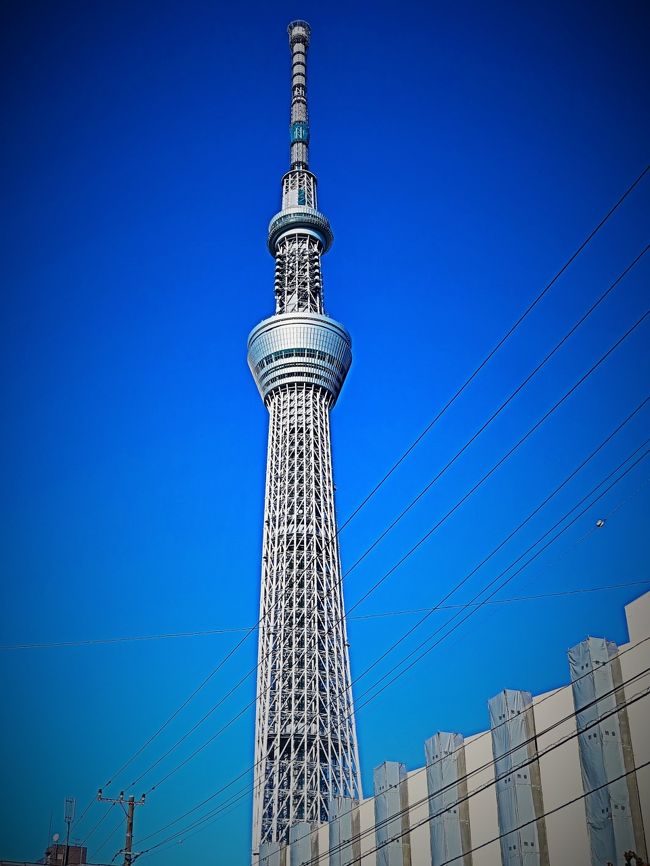 東京スカイツリー  視点-1  大横川親水公園を北へ歩く　☆水辺の面影を残す南北空間で