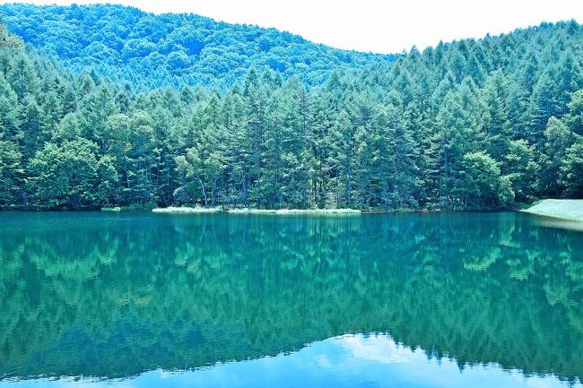 毎年夏になると、夏休み気分を味わうために避暑を兼ねて短期間でも涼しいところに行きたくなる。暑くなってからホテルを予約しようと思っても遅すぎるので、７月末に行くべく信濃大町の星野リゾート界北アルプス２泊を４月末頃に予約しておいた。どこに遊びに行くか（ドライブするか）は全くのノーアイデアだったが、ともかく泊まる所だけは確保したことになる。<br /><br />期日が近づいてからガイドブックを見たり、この４トラベルの記事を参考にしたりしながら決めたルートと目的地は以下のようになった。<br /><br />１日目：中央高速道～諏訪ＩＣ～御射鹿池～蓼科湖～白樺湖～大王わさび農場～信濃大町<br />２日目：八方尾根ハイキング又は栂池自然園ハイキング<br />３日目：未定<br /><br />結果的には、１日目は可もなく不可もなくというごく平凡な観光地巡りだったが、２日目のハイキングは天候にも恵まれて「これぞ夏山！」という気分を味わうことが出来、大満足だった。３日目は、近付く台風の影響を避けるため朝早く現地を出発し昼過ぎには帰宅したので、実質２日間の夏休みとなった。