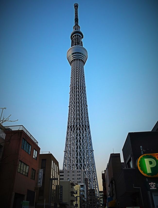 東京スカイツリー　視点-2  タワービュー通り・業平小前に距離表示　☆電線地中化でスッキリ