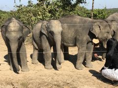 象の施設へ　ウィンガボスィンサカン　バゴー市郊外パヤジ