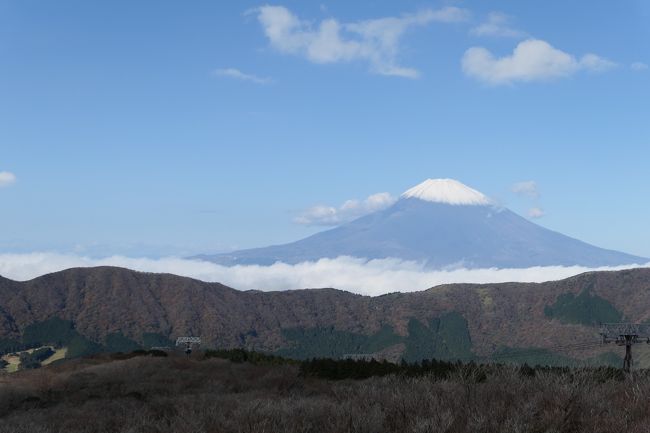 2018年11月9日-11日、箱根へ行きました。。<br />愛犬と一緒に温泉とグルメを楽しんできました♪<br /><br />☆Vol.6：大涌谷♪<br />強羅温泉で最も標高の高い場所にある「ホテル凛香」。<br />朝食を頂いたら、<br />身支度して日帰り観光♪<br />昼までに箱根を観光しよう。<br />まずは、近くの大涌谷へ。<br />噴火で一時的に閉鎖されていたが、<br />小康状態になり、再び観光客で賑わっている。<br />駐車場の展望台から素晴らしいパノラマ。<br />富士山がくっきり。<br />初冠雪の富士山は美しい。<br />左手に青い芦ノ湖が見える。<br />そして山々は紅葉が広がる。<br />見ほれていると周囲は外国観光客がたくさん。<br />特に欧米人が多いのは驚く。<br />賑わう欧米人と富士山を眺めて、<br />日本は観光大国になったなと思う。<br />ゆったりと眺めて♪