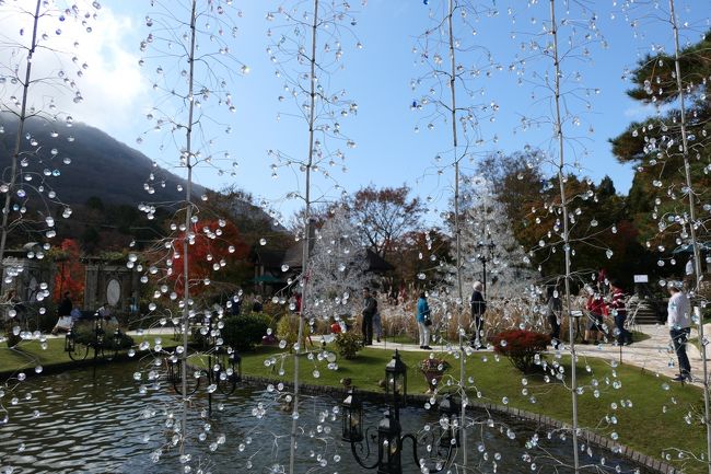 2018年11月9日-11日、箱根へ行きました。。<br />愛犬と一緒に温泉とグルメを楽しんできました♪<br /><br />☆Vol.12：仙石原♪<br />今日は強羅温泉「ホテル凛香」から日帰り観光♪<br />仙石原のすすき草原からガラスの森美術館へ。<br />エントランスから美しい風景。<br />広大な庭園はガラスと紅葉の競演が素晴らしい。<br />ヨーロッパ風の美しい建物を囲む池、<br />トンネル状のガラスすだれ、<br />見え隠れする紅葉。<br />ゆったりと歩いて眺めて♪<br />