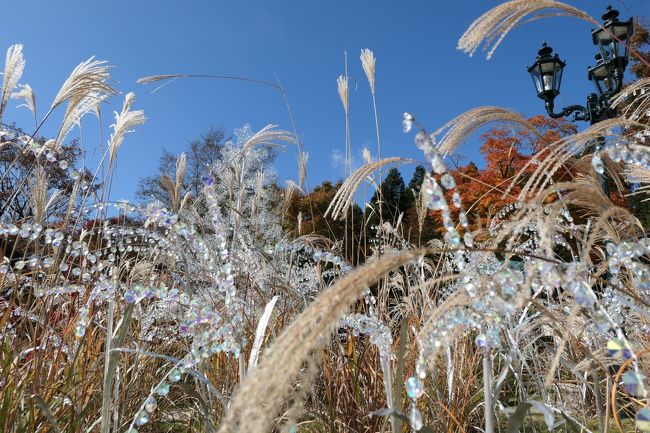 秋の優雅な箱根旅行♪　Vol.13　仙石原：ガラスの森美術館　紅葉ときらめくガラスの競演♪