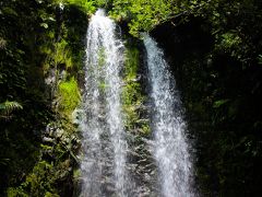 ひとり旅　沖縄　国頭