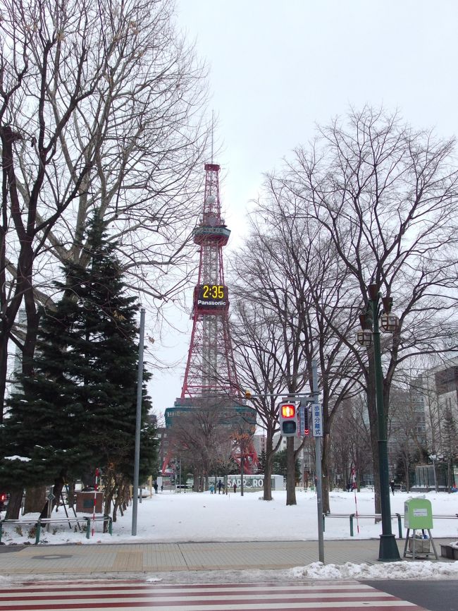 お正月はどこかへ飛びたいのだ!ということで2019年の初フライトに選んだのは北海道。<br />往復マイル利用の日帰り旅行です。<br /><br />滞在8時間の北海道。<br />第2弾は札幌ー新千歳空港編です。<br /><br />小樽よりは観光という感じが出せたかな。