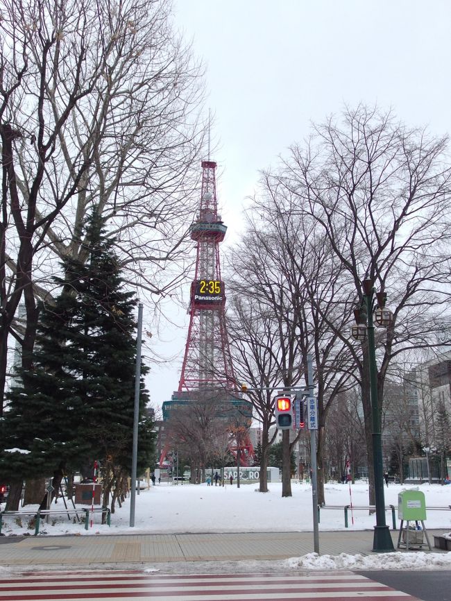 お正月はどこかへ飛びたいのだ！ということで2019年の初フライトに選んだのは北海道。<br />往復マイル利用の日帰り旅行です。<br /><br />滞在８時間の北海道。<br />第２弾は札幌ー新千歳空港編です。<br /><br />小樽よりは観光という感じが出せたかな。