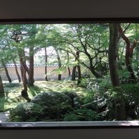 出雲大社と足立美術館を訪れる夏の山陰2013-<後編>足立美術館と境港の市場食堂へ