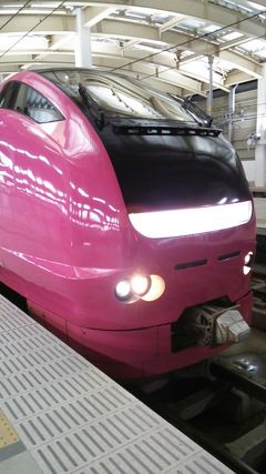 「えちごツーデーパス」で行く新潟の鉄道満喫の旅　2019・01（パート２）