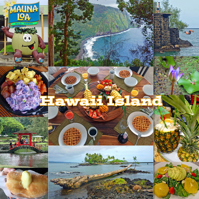年末年始ハワイ1-ハワイ島編、オーキッド ツリー B＆B(Orchid Tree Bed and Breakfast）宿泊、Cafe Pesto Hilo・Pineapple's Island Fresh Cuisineで夕食、キラウエア火山・ワイピオ渓谷を観光-
