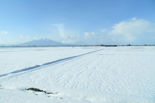 年末も押し迫った12月下旬に3連休がとれることになりました。今年は体調不良の時期が長く、遠出ができず、かつあまり旅をする気にもなれなかったのですが、そうすると「飛行機に乗らない年になってしまうかも」と思い、思い切って旅に出かけることにしました。<br />JALの「どこかにマイル」を使って。<br />青森・三沢・秋田・徳島の中から選ばれたのは、「三沢空港」でした。<br />三沢空港を起点に、青森県内を観光した3日間の旅の記録です。<br />1日目は、三沢から弘前まで。