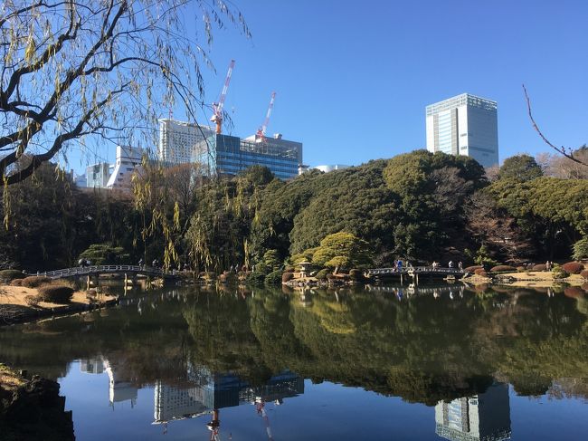 冬休みも残り2日となりました。<br /><br />徐々にブルーになってきて心が重くなりがちでしたが、それを振り払おうと新宿に出掛けてきました。<br /><br />風もほどんどなく3月並みの暖かさの中、都庁展望室と新宿御苑。<br /><br />そして最後に毎年恒例のJRA中山金杯での競馬初めで今年の運だめしをしてきましたが、その結果は!?