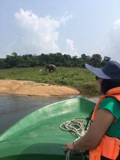 ママ、スリランカ行ってくるね！爆走！バス一人旅！3日目。ボートサファリで象が泳ぐ！アンパーラ～山を越えエッラへ