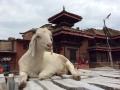 神々と出会うネパール　カトマンドゥ盆地世界遺産を巡る旅⑤　チャングナラヤン＆バクタプル