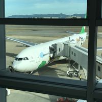 子連れ台北新春旅