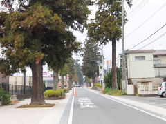 ｋオジサンの中山道旅日記　　その23　 　 松井田宿から高崎宿  へ　その後は美術鑑賞