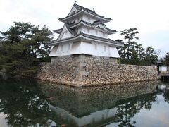 高松城跡玉藻公園で鯛にえさやり、こりゃ春からめでたいな