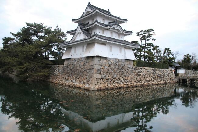 高松城跡玉藻公園で鯛にえさやり、こりゃ春からめでたいな