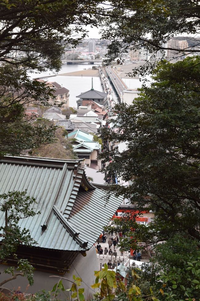 実家や親戚の家が近く、何年も正月に行かないと文句が出る為、<br />今年は三年ぶりに日本で年越しをしました。<br />高齢化の進んでいる親戚の中では若手の方なので<br />ここぞとばかりに力仕事をさせられたりするのは厄介ですが<br />連日親戚の家を回っていれば、自分でお正月の準備を<br />何一つしなくて済むのが良い所です。(旅行に行ってる時もしないけど)<br /><br />親戚の家巡りが終わった後、自宅に籠って写真の整理をしたらめっちゃ捗り<br />重いアルバムとデータに取り込んでいないフィルムが我が家から消えました。<br /><br />あ、でもせっかくのお正月休みなんで出かけなくちゃ、<br />と遅まきながら思い、いそいそと七福神めぐりに行った旅行記です。