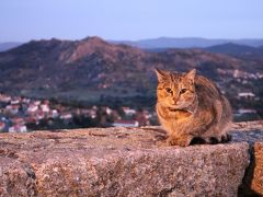 楽しかったポルトガル、いろいろあったけど⑩モンサントからリスボンへ