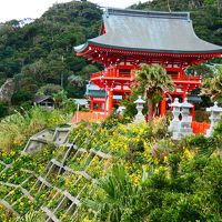 【2018年　宮崎】その3　神の国であと10分に泣く２　鵜戸神社へ向かってバスに乗ったり歩いたり(サンメッセ日南、鵜戸神宮） 