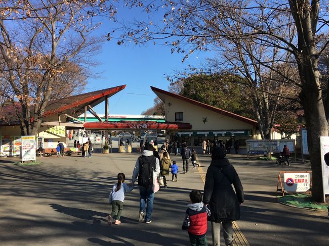 預かった孫（男児３歳）とじいじ、ばあばの３日目。この日も快晴、無風。穏やかな新年です。<br />今日は、青葉区にある「こどもの国」に行くことにしました。自宅からは約7km、車で20分弱です。<br />こどもの国は、皇太子（今上天皇）ご成婚を記念して整備された公営の総合児童厚生施設です。私自身は社会人になりたての頃（45年前）、新入組合員歓迎行事のオリエンテーリングに来たことがあり、また、家族でも一度訪れていますが、あまり印象に残っていません。<br />久々に孫と来ましたが、ほぼ初めてと言って良いくらい新鮮な体験でした。