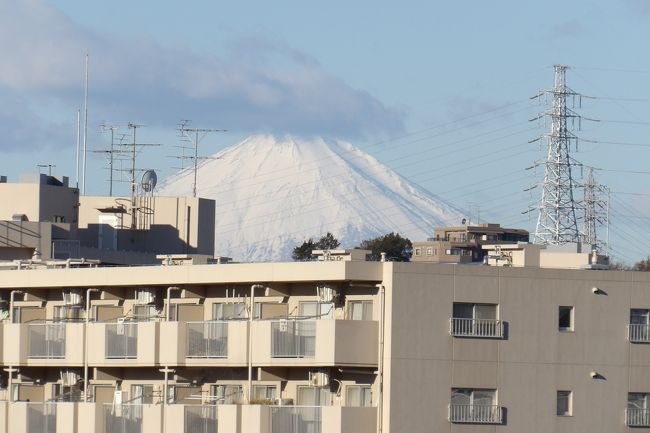 　戸塚税務署南側には山の頂上から駅側に下って行く戸建ての団地がある。ここからも富士山が見えるだろうと昨年末に確認したのだが、ビルの上に頭を覗かせているか、建物の間に富士山が確認できる程度である。とても紹介するにはと思ってアップはしなかった。しかし、この団地の住民の中には、もっと富士山が望める2階やベランダがあるのかも知れない。それでも先日よりは富士山に掛かる雲が少ないので一応紹介しておく。<br />（表紙写真は団地の三差路道路沿いから見える富士山）