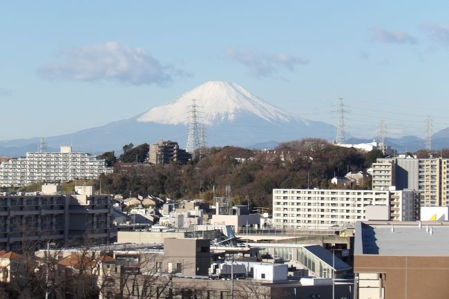 　戸塚駅東口から西に舞岡方面に行くバス通りの坂道の頂上（峠）にある舞岡熊之堂交差点の少し手前に吉田町大日谷（だいにちやと）公園がある。その入口には「日立和敬寮」バス停がある。日立和敬寮はとっくになくなってしまってマンション（ファミールヒルズ）が建っているが、その名がバス停に残されている。吉田町大日谷富士山（だいにちやと）公園の他方の入口にはプライズ・ヒルの一方の入口がある。プライズ・ヒルは日立工専跡に建ち、入口は戸塚税務署から上ってきた頂き（峠）にある。おそらく、吉田町大日谷（だいにちやと）公園はプライズ・ヒルが建設された際に提供された公園であろう。<br />　この吉田町大日谷（だいにちやと）公園にはどうしたことか標石がなく、公園名が分からない。公園内の遊具には土木事務所の看板が立っていたので、戸塚土木事務所に電話してやっと聞き出した。昼には小さな子供をベビーカーに乗せて多くの若いお母さんたちが集まり、下校途中に小学生児童たちが遊んでいる公園であるのだが、親にその遊んでいた公園の場所は説明できても公園名を伝えられないのは困ったことだ。<br />　この吉田町大日谷（だいにちやと）公園からも富士山が見える。この公園がある山の上にもマンション（モアクレスト）があり、その提供公園は東側の崖の下にある舞岡熊之堂公園である。吉田町大日谷（だいにちやと）公園よりも一段高いモアクレストの西側道路にも、北側と西側に階段があり、通れるが、ここからも勿論富士山が見える。ここは前回（https://4travel.jp/travelogue/11434300）に報告すべき場所（富士山のビュースポット）である。しかし、そのことを今日まで知らなかった。<br />（表紙写真は吉田町大日谷公園の上から見える富士山）