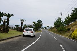 2018冬の南九州ふらり旅vol.2（宮崎県最南端の都井岬）