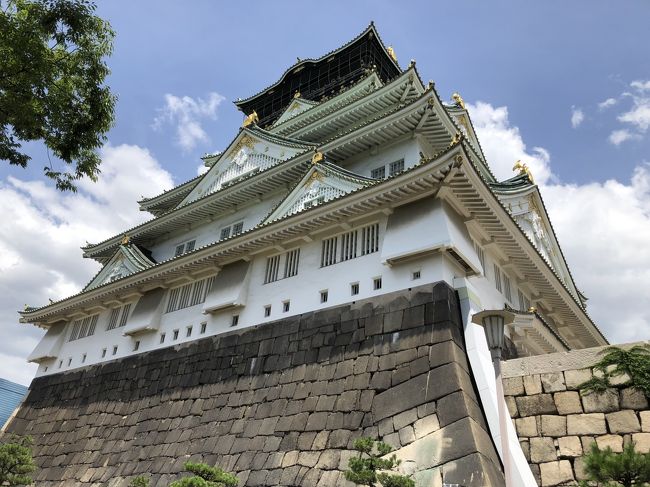 息子の願いで名古屋、大阪の城めぐり。私も初めてです。