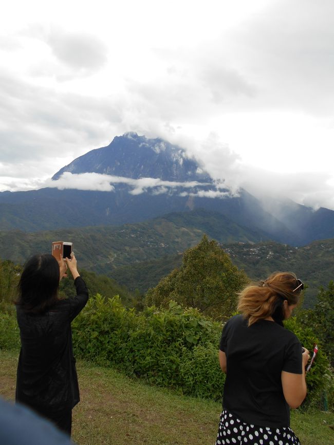 表紙はキナバル自然国立公園の神山であるキナバル山（4,095m）<br />を拝した写真です。<br />マレーシア語で「中国王子の未亡人」という意味がある<br />キナバル山は午前中はその霊峰を見せてくれるのですが<br />午後は雲（未亡人の涙でしょか？）で姿を隠してしまいます。<br />写真でも頂上から雲が降りてきています。<br />強い風も吹いてきました。<br />午後には熱帯雨林では珍しい冷たい雨も降り始めました。<br /><br />家内がムル洞窟の行き倒れからまだ体調が完全に回復していない<br />のでキナバル自然公園ツアーは私一人で参加することになって<br />しまいました。<br />ツアー客は普通カップルで構成されていますので<br />一人参加（特に男性で老人の私）は心理的に肩身が狭い思いを<br />してしまいます。<br />最初は借りてきた猫のように大人しくしていた私でしが<br />段々と本領を発揮して最後には別れがたい旅の仲間<br />（ソウルグループ）になっていました。<br />やっぱり旅は楽しいですね。<br /><br />詳しくは以下で説明いたします。<br /><br />＜旅のスケジュール＞<br />（2018/12/27～2019/1/7の 12日間）<br />2019．1.1<br />&lt;Malaysia Air&gt;MH3252Mulu1２:００発⇒kota Kinabalu1２:５5着<br />①Mandarin Hotel Kota Kinabalu(マンダリン ホテル コタキナバル)<br />三ツ星、朝なし、スーペリアツイン<br />1日イン3日チェックアウト（2泊）￥10,736税込11,897円<br />（MYR378.10税込424.83）<br />Number 138, Jalan Gaya,, 88000 コタキナバル, マレーシア<br />(電話:+6088225222)無料で空港まで行くシャトル有<br />②The Jesselton Hotel(ザ ジェッセルトン ホテル)三ツ星<br />支払い済みキャンセル不可。デラックスツイン。朝なし<br />3日チェックイン5日チェックアウト（2泊）<br />￥14,750（MYR519.47税込550.64）<br />１ＭＹＲ２８．８７８で計算