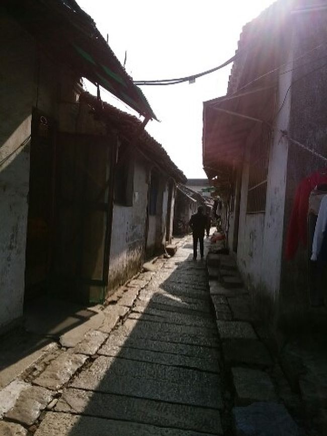 毎年この時期に夫婦で訪れている上海。<br />毎回上海のおいしいものを食べたり、周辺の古鎮を訪れたりしています。<br />今回は一度行ってゆっくり見られなかった朱家角と、千灯古鎮を散策。