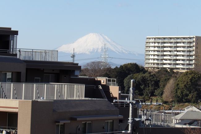 　東福寺の裏山を越え、坂道を上って山頂辺りからは尾根らしき道を行くかそれとも下って環状2号線沿いに出るか迷ったが、下って環状2号線沿いに出た。この東側にはマンションがある。コスモ東戸塚グランパルクである。このマンションの西側からは富士山が見える。ここから急な階段を上った尾根でも勿論富士山が見える。しかし、その富士山の姿はマンションとマンションの建物の間に顔をだしている姿であり、裾野から見えるということにはならない。<br />（表紙写真はコスモ東戸塚グランパルクから見える富士山）