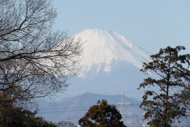 　平戸小の上の尾根からは富士山が見えるが、その西にある平戸みはらし公園はここの尾根からは低く見え、富士山が良くは見えないのではないかと疑問が沸いたが、横浜市戸塚区役所のホームページ（http://www.city.yokohama.lg.jp/totsuka/kusei/kenbun/miharasi.html）に記載されている「晴れた日には東側にランドマークタワー、西側は富士山や丹沢山系が見えます。」は真に受けてはいけないだろう。冬の木々が落葉した晴天の日でさえも木々の間から富士山が顔を出している程度である。これでは見えるというだけで綺麗に見えるとは言えまい。<br />　平戸みはらし公園は一里塚から続く尾根の東側にある山の山頂にあり、北側の平戸小、南側の平戸紐に挟まれている。この周辺には果樹園が多くある。<br />（表紙写真は木立の間に見える富士山）