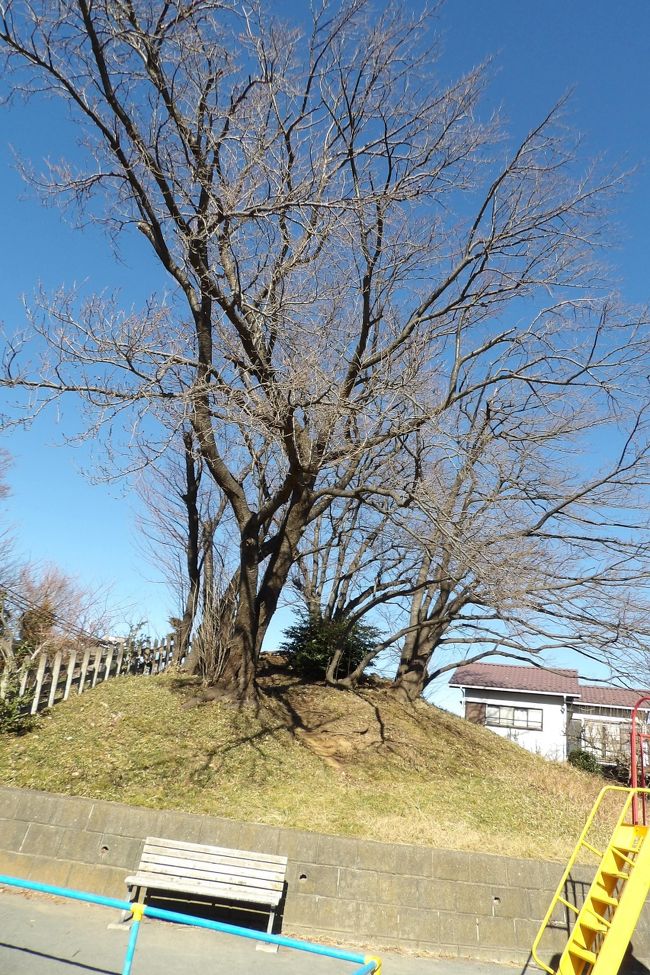 　平戸一里塚（https://4travel.jp/travelogue/10751101）は横浜市戸塚区平戸4にある電電戸塚団地内の区画に残っている。電電団地とは今はNTT(日本電信電話株式会社）の団地ということだが、電電公社（日本電信電話公社）が民営化されたのは昭和60年（1985年）のことである。一方、昭和57年（1982年）に平戸町から平戸1～5が分離し、平戸一里塚は平戸町から平戸4に町名変更された。　<br />　平戸一里塚は日本橋から9里の一里塚である。南北の尾根を通る旧東海道の東側にある一里塚であり、西側にも平戸一里塚が残っており、品濃一里塚と呼ばれている。両側の一里塚とも公園になっており、一里塚公園と品濃一里塚公園の名前が付いている。しかし、ここ一里塚公園には旧東海道から平戸一里塚に上る道が残されてはなく、甚だ遺憾な状態の公園である。旧街道と一里塚は残っているが、旧街道から一里塚へは行けなくなっている。その道を復元しないで一里塚公園はないだろう。元々の一里塚が設置された理由をもう一度見直して、平戸一里塚と品濃一里塚を一つの一里塚公園とすべきである。<br />　平戸一里塚公園には庚申塔が1基あり、17～18世紀の江戸前期～中期に建立されたものであろうか。<br />　平戸一里塚公園からは品濃一里塚の森の木々が遮ってしまうので、昔も富士山は望むことはできなかっただろう。<br />（表紙写真は平戸一里塚）