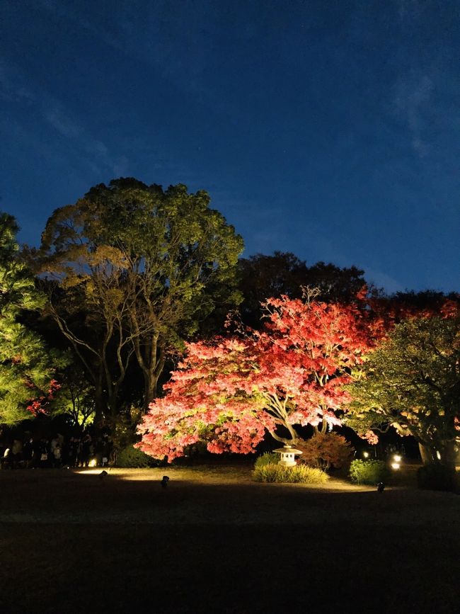 都内に住んでいながら、初めて六義園の紅葉を見に行きました☆<br />日中の紅葉も綺麗だけど、ライトアップは見応え充分！<br />でも満開時期の土日混雑は覚悟で！