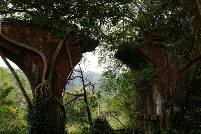 正月明け最初の週末は旅行する人も少ないのかLCCが安かったので、台湾でかねてから行きたかった台中近辺の鉄道遺産を見つつ、台湾飯をさんざん楽しむ旅にふらっと出かけることにしました。<br />まえ→https://4travel.jp/travelogue/11441451<br />かつてから行ってみたいと思いながらも公共交通機関がないことからためらっていた勝興車站、龍騰断橋。案ずるよりなんとか、最寄りの三義駅前にいたタクシーで、良い運転手さんと親切な現地の人達に助けられ思ったよりずっと快適に楽しめました。勝興車站ではまるで現役のような廃駅という珍しいものを体験、龍騰断橋では世界遺産レベルといえる明治時代の廃橋にため息。