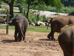 スリランカ、ゴールへ