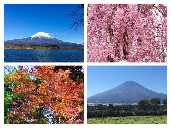 2016.4月から始めた「富士山裾野ウォーク」という日帰りバスツアー<br />全長153キロの富士山の裾野を17回で一周、しかも昼食つき(第1回は無しです)最後にお風呂に入れる魅力的なツアーです。<br />大好きな富士山を眺めながら歩き、気分がリフレッシュされるならと友人を誘って参加しました。<br />専属講師&amp;添乗員さんが同行し、その回の魅力を伝えながら案内してくれるのでシニア世代にはとても人気です。<br />出発場所も沢山あり、シリーズだけれども自分の都合で回を選択できるのも魅力のひとつです。<br />このツアーに参加した事がきっかけで富士登山を目指し、富士登山をした事がきっかけで山登りに目覚めてしまった、という私にとってはここから始まったと実感できるツアーです(*^^*)