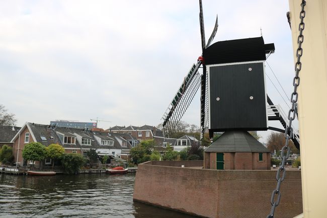 エジプトのカイロからドイツのミュンヘン経由で<br />オランダのアムステルダムのスキポール空港に到着しました。<br />空港から列車でこの旅最後の訪問地のオランダのライデンへ。<br />オランダ最古の大学があり、学生が多く<br />日本と深いかかわりのあるライデン。<br />運河の街並みはとても可愛かった。<br /><br />★10/21(日)  アムステルダム到着　→　ライデン泊（列車移動）<br />     10/22(月)  アムステルダム　→　ワシントンDC　→　サンフランシスコ　→　ポートランド自宅（飛行機移動）<br /><br />日程<br />10/06(土）ポートランド　→　サンフランシスコ　→　ヒューストン（飛行機移動）<br />10/07(日）アムステルダム到着　→　アントワープ泊（列車移動）<br />10/08(月）アントワープ　→　日帰りリール（列車移動）　→　アントワープ泊<br />10/09(火）アントワープ　→　アムステルダム　→　ミュンヘン（飛行機移動）<br />10/10(水）ミュンヘン　→　カイロ　→　ハルガダ（飛行機移動）ハルガダ泊<br />10/11(木）ハルガダ泊<br />10/12(金）ハルガダ　→　　デンデラ　→　ルクソール泊　（専用車で移動）<br />10/13(土）ルクソール泊　１日観光。<br />10/14(日）ナイル川クルーズ<br />10/15(月）ナイル川クルーズ<br />10/16(火)  アスワン泊<br />10/17(水)  アブ・シンベル（ツアー）→　アスワン　→　カイロ（寝台列車で移動）<br />10/18(木)   カイロ　→　ギザ泊<br />10/19(金)   専用車でカイロ近郊観光ギザ　→　カイロ泊<br />10/20(土)   カイロ　→　ミュンヘン　→　アムステルダム（飛行機移動）<br />10/21(日)  アムステルダム到着　→　ライデン泊（列車移動）<br />10/22(月)  アムステルダム　→　ワシントンDC　→　サンフランシスコ　→　ポートランド自宅（飛行機移動）<br />